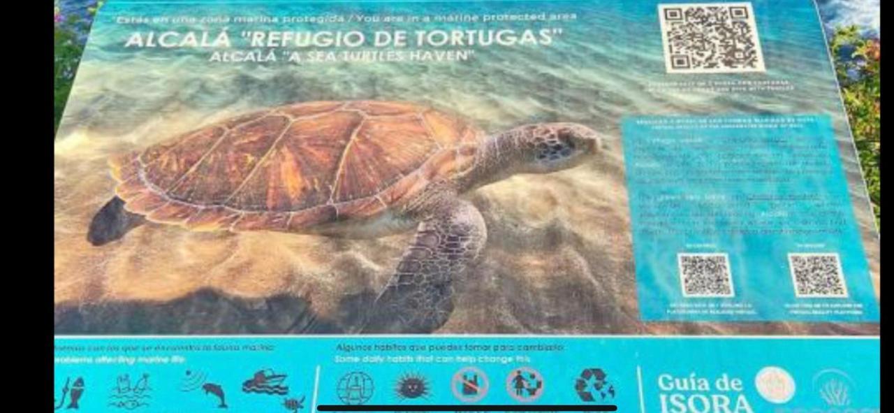 Апартаменти Alcala Center A 5 Minutos Del Paseo Y Playas Екстер'єр фото