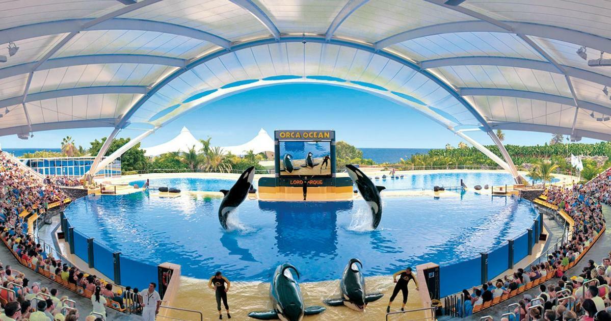 Апартаменти Alcala Center A 5 Minutos Del Paseo Y Playas Екстер'єр фото